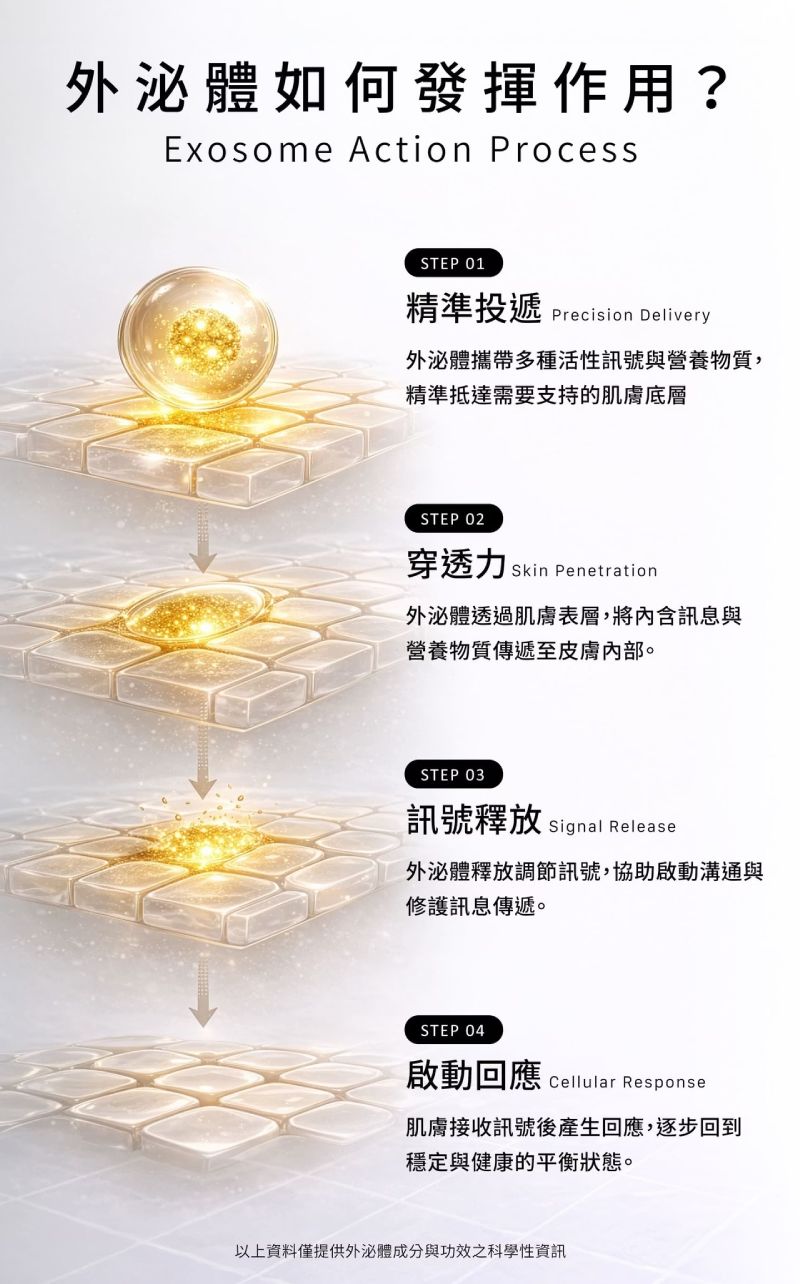 諾亞外泌體恆采臉部精華液作用機轉,精準投遞、深層穿透與啟動肌膚修護